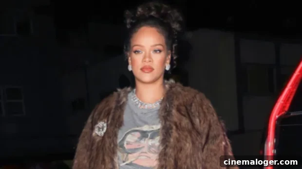 Rihanna's Bold Maternity Look: Sheer Sequins for Dinner Before Baby No. 2 Arrives 1 featured 5111234