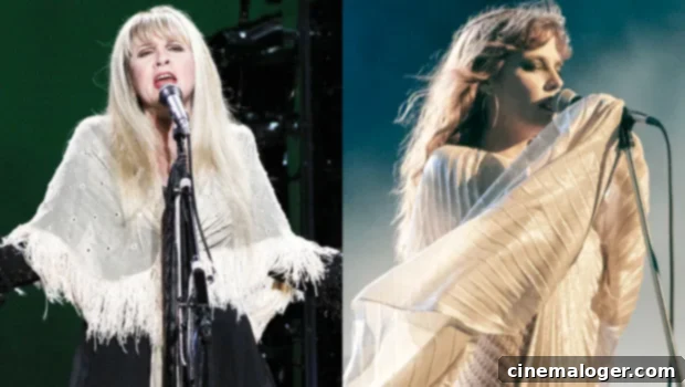 Stevie Nicks: Daisy Jones Was Like Watching My Own Life 1 featured 5150766