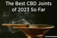 The Premier CBD Pre-Rolls of 2023