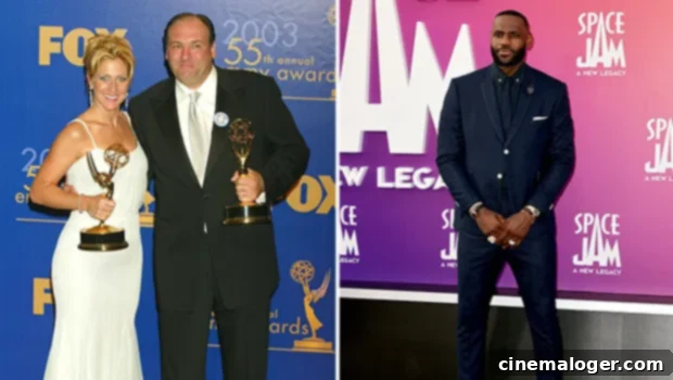 Tony and Carmela's Lost Knicks Plea: Gandolfini & Falco Begged LeBron 1 featured 5268981