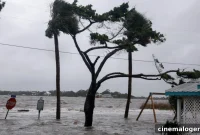 Tracking Hurricane Helene: Florida Storm Updates & Path