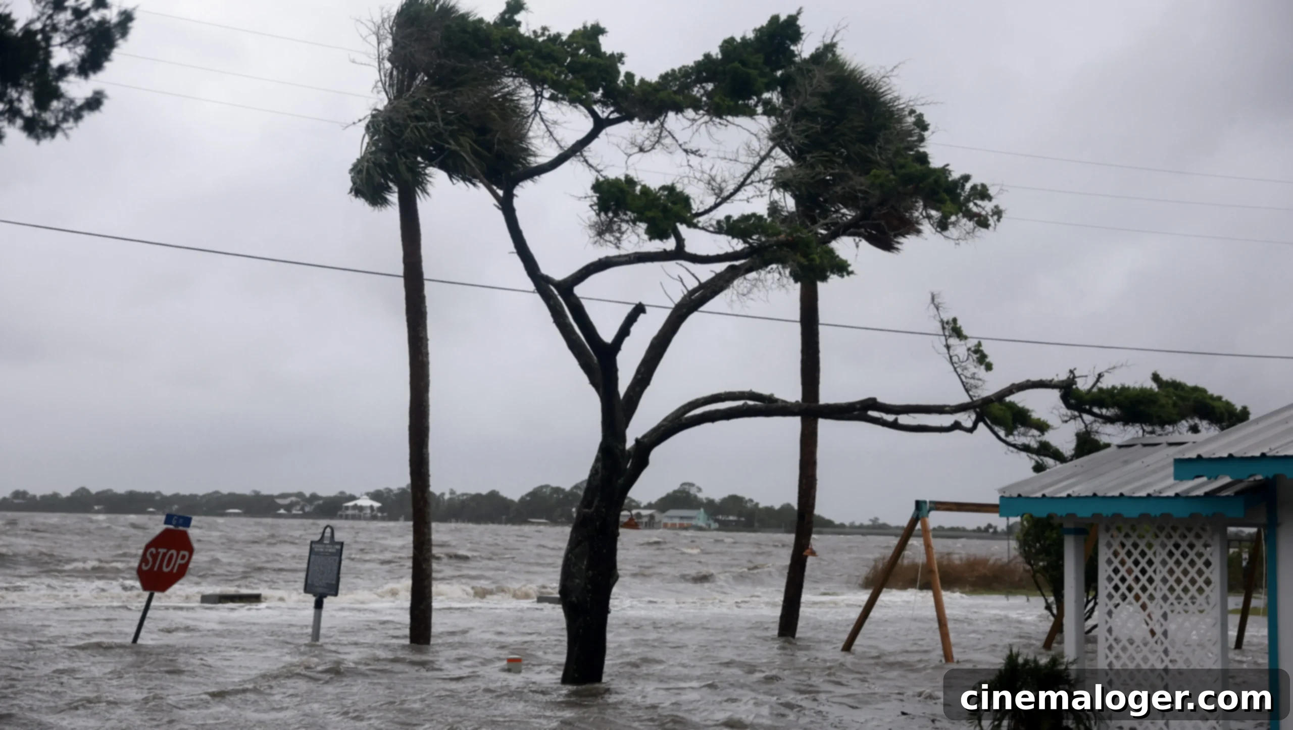 Tracking Hurricane Helene: Florida Storm Updates & Path 1 featured 5323005 scaled