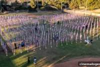 The Eleventh Hour: Why Veterans Day on November 11 Matters