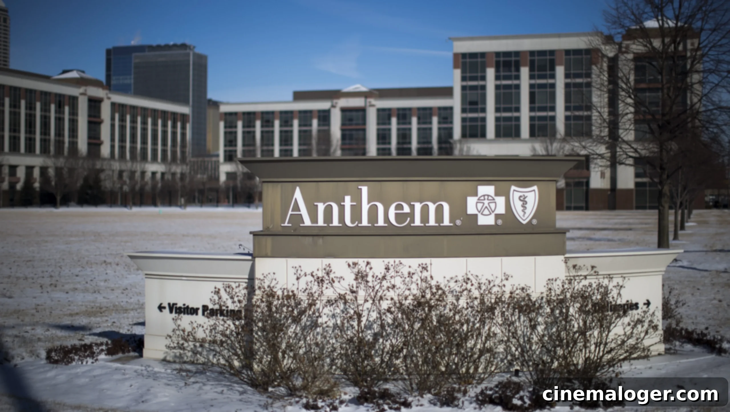 Anthem Blue Cross Blue Shield Anesthesia Coverage: Your Guide to Policy Updates 1 featured 5351297 scaled
