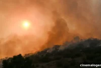 The Tragic End of a Child Star: 5 Facts About Rory Sykes, Victim of the L.A. Fires