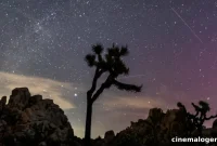 Perseid Meteor Shower August 2025 Your Viewing Guide