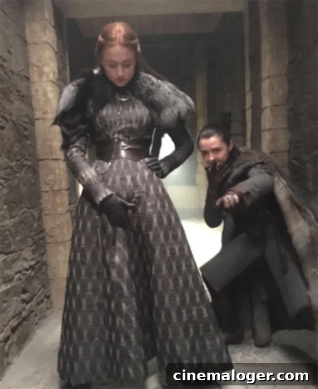 Sansa Stark Pregnancy Rumor Drives Game of Thrones Fans Wild 2 Sansa Stark pregnancy theory