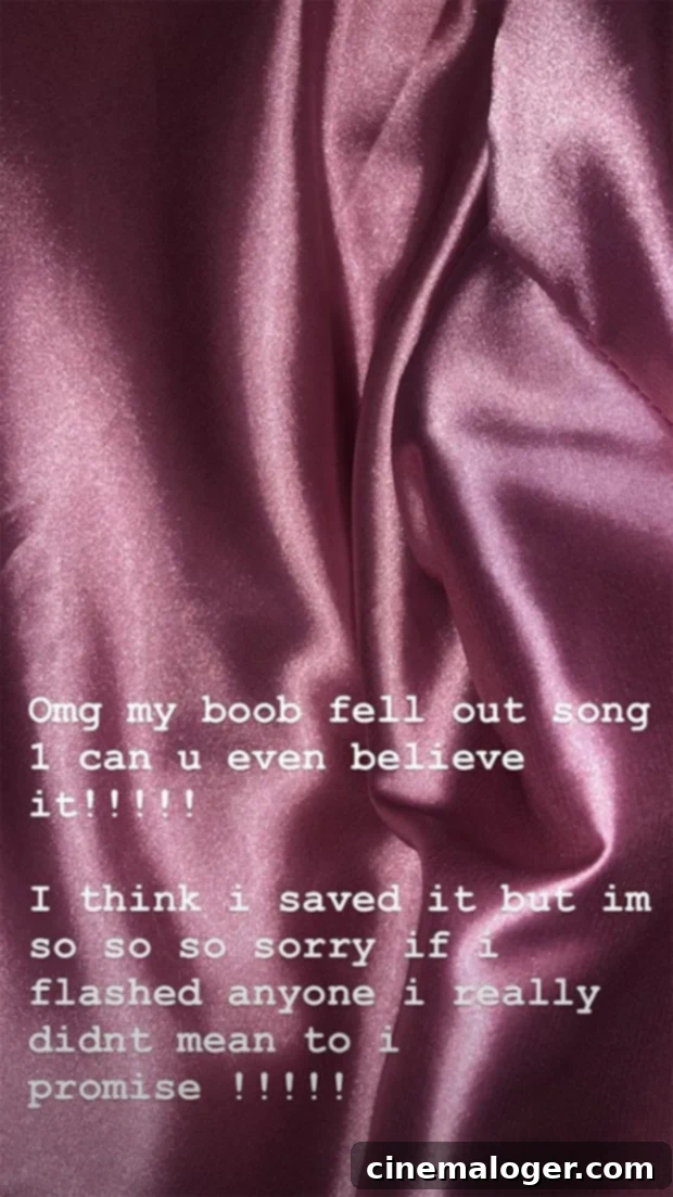 charli xcx wardrobe malfunction 