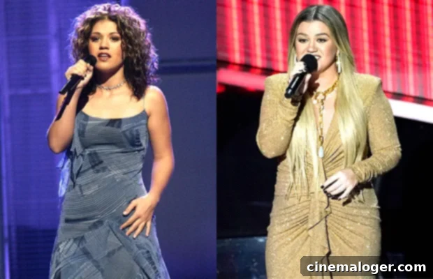 American Idol Winners: The Post-Show Lives and Transformations of Carrie Underwood and Fellow Champions 2 kelly clarkson then and now