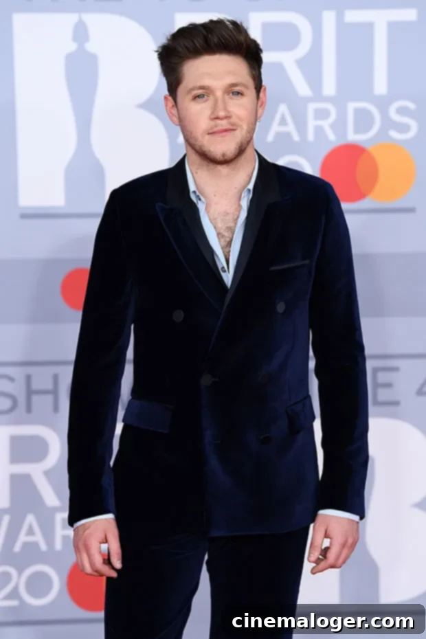 St. Patrick's Day: Jamie Dornan, Niall Horan and More Hot Irish Stars 2 Niall Horan attending a red carpet event