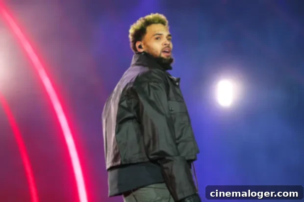 Diamond Brown: What You Need To Know About The Model Chris Brown Liked On Instagram 2 Chris Brown performing on stage