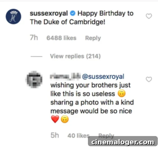 Harry and Meghans Underwhelming Birthday Message Reignites William Feud 2 Sussex Royal Instagram
