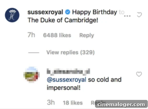 Harry and Meghans Underwhelming Birthday Message Reignites William Feud 3 Sussex Royal Instagram