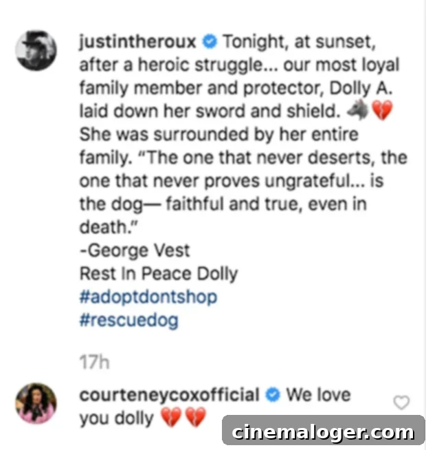 Courteney Cox Comforts Jennifer Aniston and Justin Theroux Amid Pet Loss 2 Courteney Cox