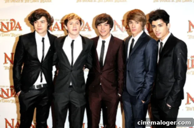 Liam Payne Unveils One Direction's 10th Anniversary Surprise 2 One Direction