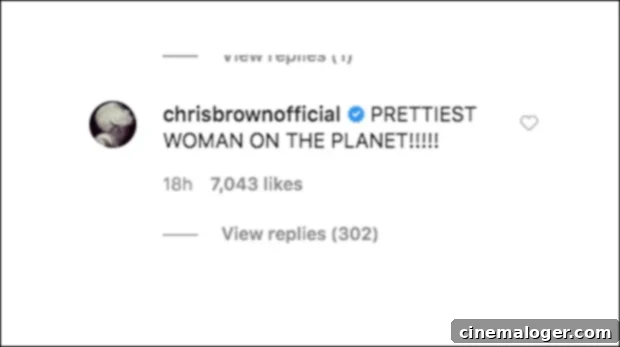 Chris Brown Crowns Ammika Harris The Prettiest Woman On The Planet 2 Ammika Harris and Chris Brown's son, Aeko Brown playing