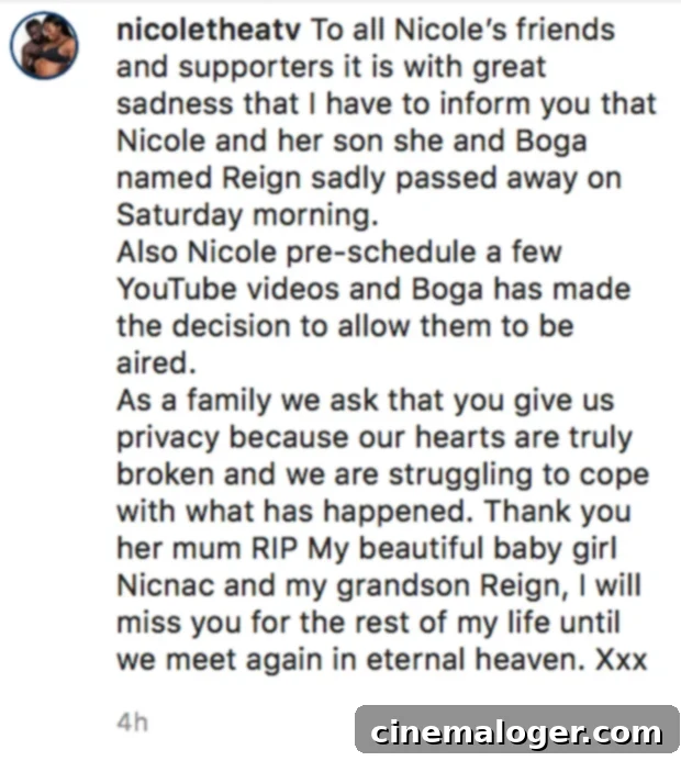 Nicole Thea A Pregnant YouTube Star's Tragic Death at 24 3 nicole thea family statement
