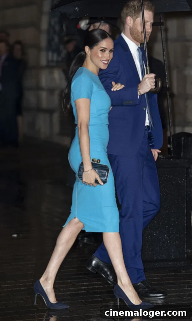 Meghan Markle Expecting The Royal Baby File 7 Meghan Markle & Prince Harry