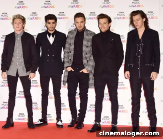 One Direction: Their Epic Evolution in Pictures 2 One Direction