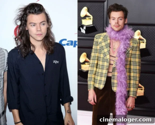 One Direction: Their Epic Evolution in Pictures 3 harry styles