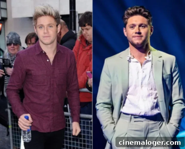 One Direction: Their Epic Evolution in Pictures 5 niall