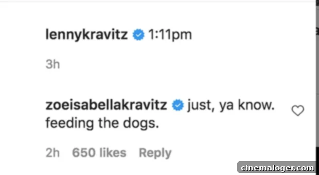 Zoe Kravitz Roasts Dad Lenny Over Shirtless Dog Feeding 2 Zoe Kravitz