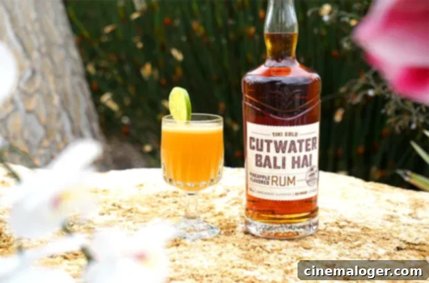 15 Incredible Labor-Free Labor Day Weekend Cocktails And Where To Stock Up On Spirits 5 img 4184868 4
