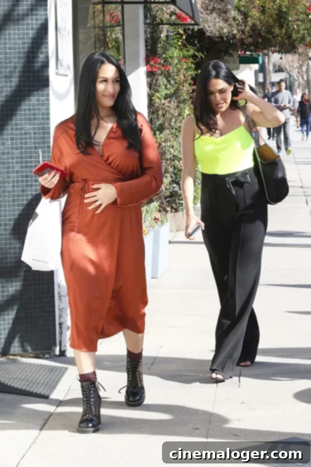 The Miz's Awesome Reality Check for New Bella Moms 3 Nikki & Brie Bella
