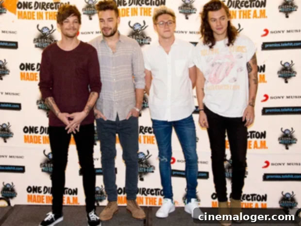 One Direction Unseen Carpool Karaoke McDonalds Moment Ignites Fan Frenzy 3 one direction