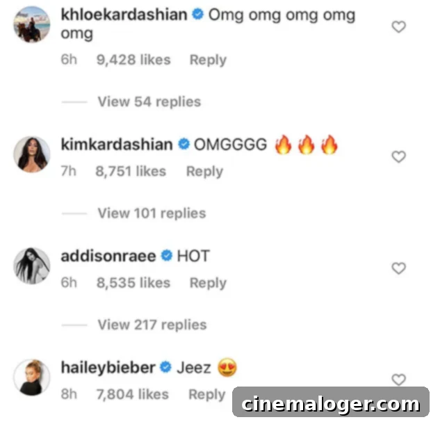 Kylie Jenner's Backyard Photoshoot Ignites Proposal Frenzy 3 Kylie Jenner's friends and family praising her fashion on Instagram.