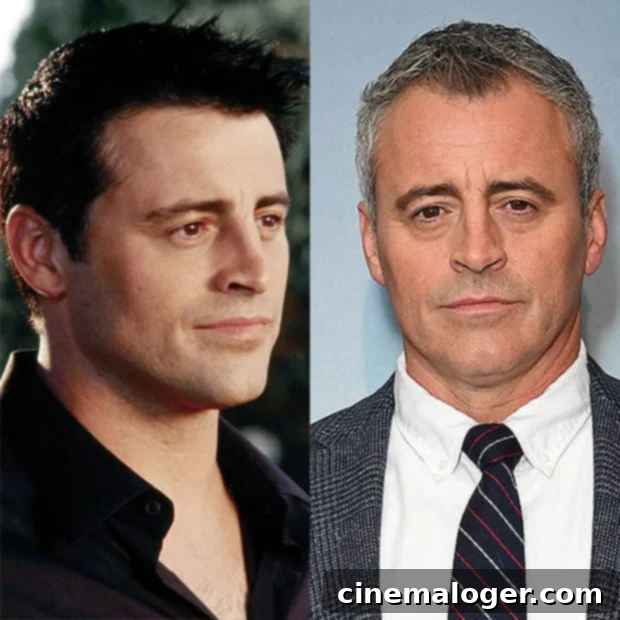 Charlie's Angels: Drew, Cameron, Lucy - 20 Years Later 5 Matt LeBlanc then and now