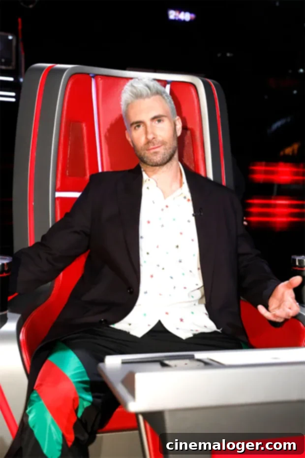 The Voice's Star-Studded Legacy: A Look at Every Coach in the Red Chair 4 adam levine