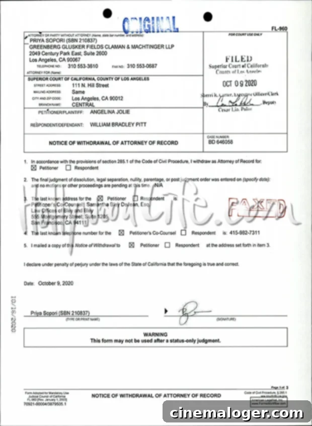 Angelina Jolie Lawyer Switch: A Strategic Win for Brad Pitt, Experts Reveal 4 Angelina Jolie