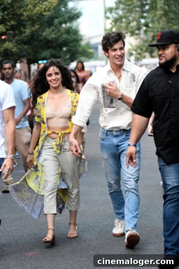 Camila Cabello, Shawn Mendes