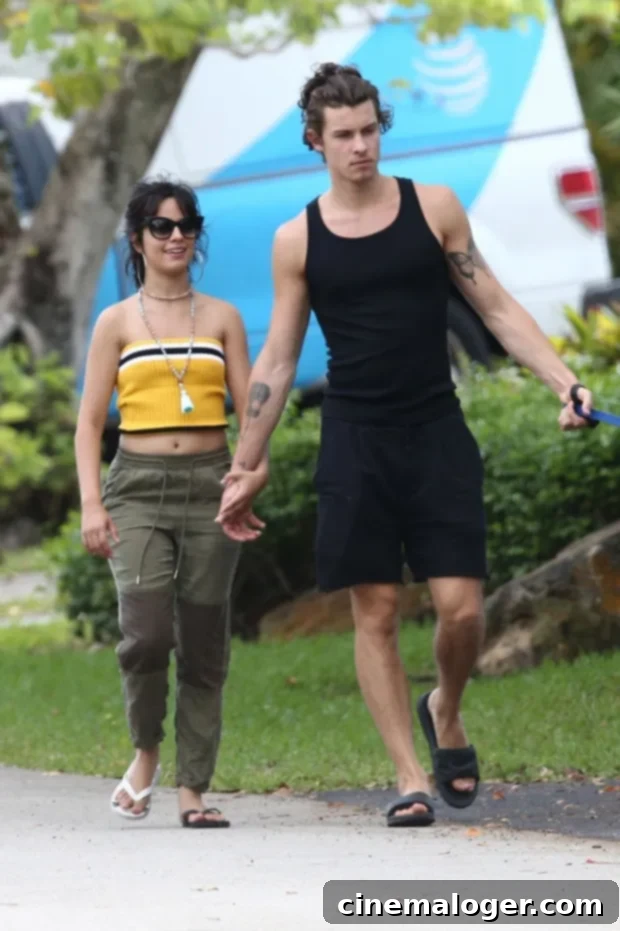 Camila Cabello, Shawn Mendes