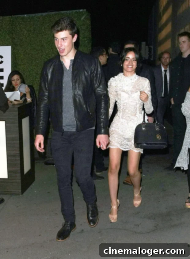 The Tumultuous Timeline of Shawn Mendes and Camila Cabello's Romance 2 Shawn Mendes & Camila Cabello in 2015