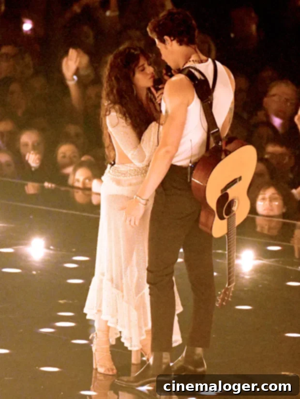 The Tumultuous Timeline of Shawn Mendes and Camila Cabello's Romance 4 Shawn Mendes & Camila Cabello 2019 MTV Video Music Awards