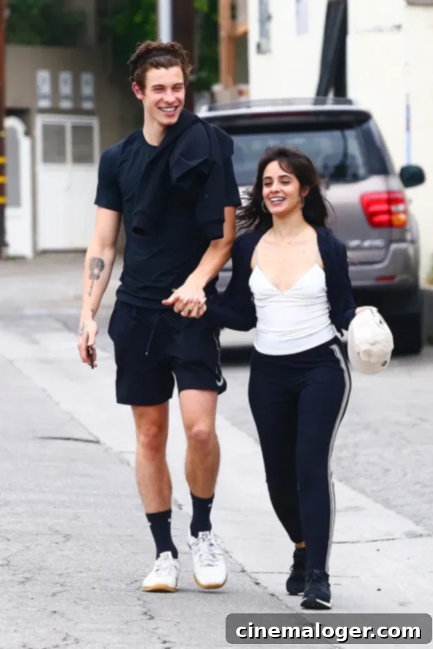 The Tumultuous Timeline of Shawn Mendes and Camila Cabello's Romance 6 Shawn Mendes & Camila Cabello in LA