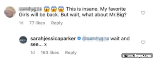 Sarah Jessica Parker, Mr. Big