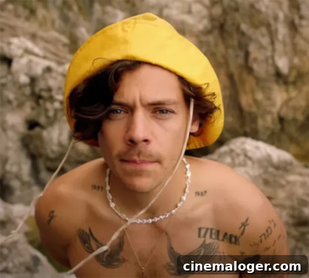 Olivia Wilde Dons Harry Styles' 'Golden' Necklace, Fueling Romance Buzz 2 Harry Styles