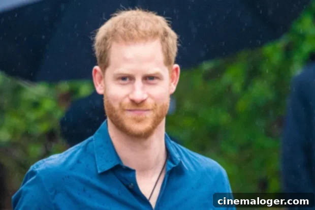 Rob Lowe Claims Prince Harry's Grown Hair Is Now A Ponytail 2 Prince Harry's traditional short red hair and neatly trimmed beard, contrasting with a potential ponytail sighting in Montecito