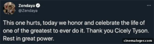 Tyler Perry and Viola Davis Lead Stars Mourning Cicely Tyson 5 Zendaya, Cicely Tyson