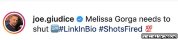 "Shut Up!" Joe Giudice's Explosive Reaction To Melissa Gorga's Teresa Stance 3 Melissa and Joe Gorga