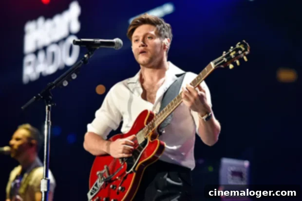 Niall Horan Confesses One Direction Felt Like A 'Prison' Because Of Fans 2 niall