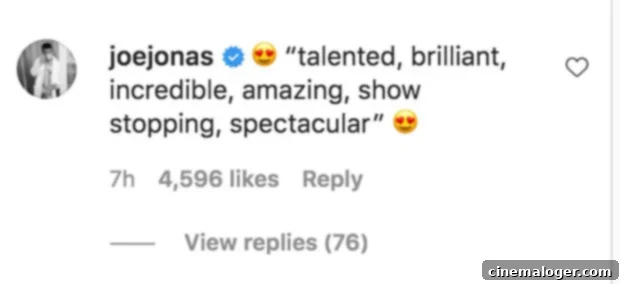 Joe Jonas Blown Away By Sophie Turner's Stunning New Selfies 2 Joe Jonas
