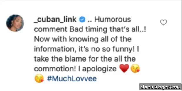 Vivica A Fox Surprising Sympathy For Cuban Link After Shade Battle 4 Cuban Link apology
