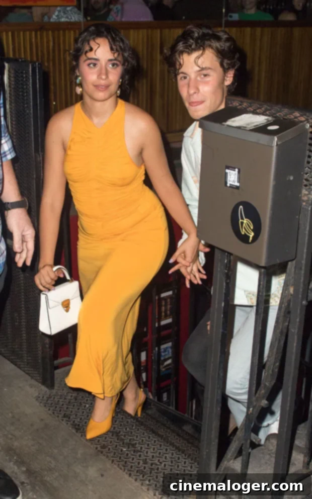 Orange Crush: Camila Cabello Dazzles on Date Night with Shawn Mendes Post-Anniversary 2 Camila Cabello, Shawn Mendes