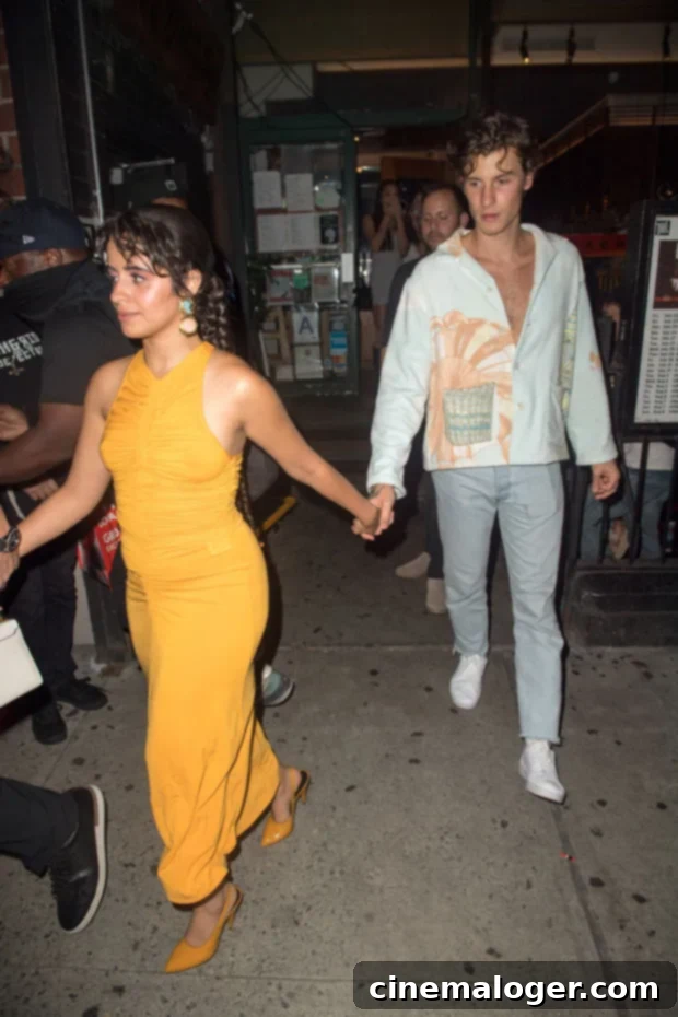 Orange Crush: Camila Cabello Dazzles on Date Night with Shawn Mendes Post-Anniversary 3 Camila Cabello, Shawn Mendes
