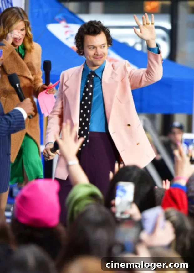 Harry Styles' Blunt Dating Advice: Game Players Are "Trash" 2 harry
