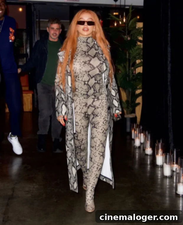 Christina Aguilera Flaunts Red Hair and Snakeskin Catsuit Following New Spanish Release 3 Christina Aguilera in red hair and outfit